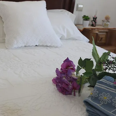 Guest house Casa Quinta Do Cordeiro
