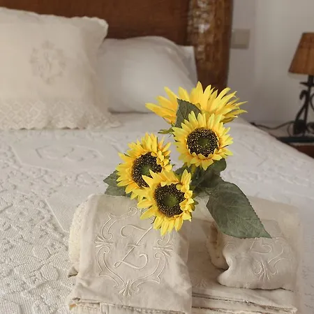 Casa Quinta Do Cordeiro Guest house